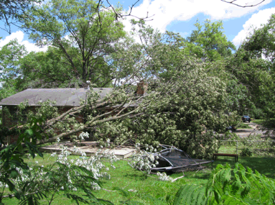 Storm damage, Columbia, MO, late evening, July 7, 2014.