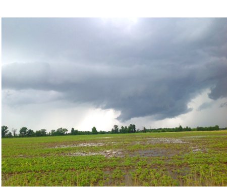 Flooded soybean field in Monroe county, MO with wall cloud in background. Photo: Linda Geist