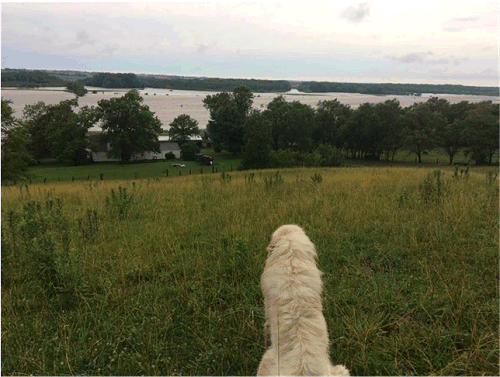 West Fork of Grand River