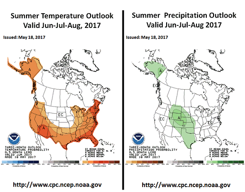 Summer Temperature and Precipitation Outlook: Valid Jun-Jul-Aug, 2017