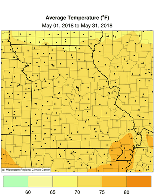 Average Temperature (F)