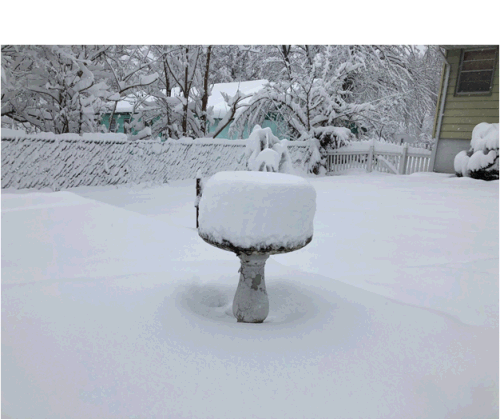 Columbia, MO Snowfall