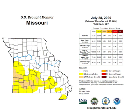 Drought Monitor Missouri July 28, 2020