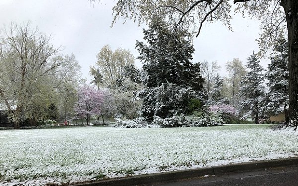 Columbia, Missouri, April 20, 2021. Photo by Pat Guinan