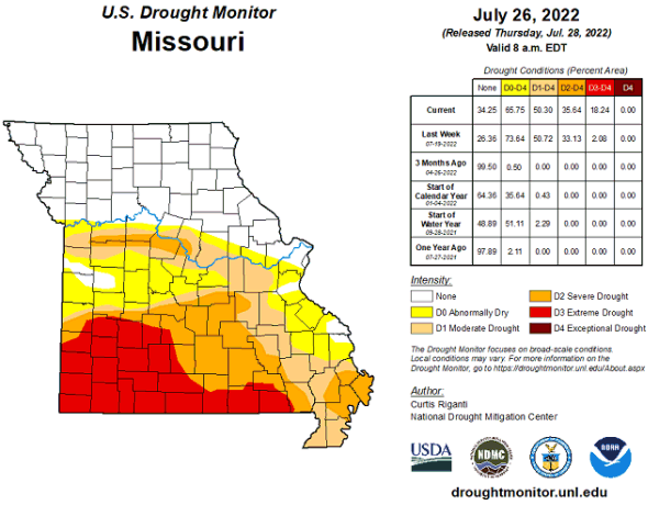 U.S. Drought Monitor - Missouri - July 2022