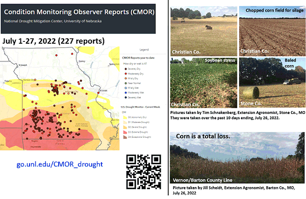 Condition Monitoring Observer Reports (CMOR) July 2022