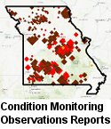 Condition Monitoring Observations Reports