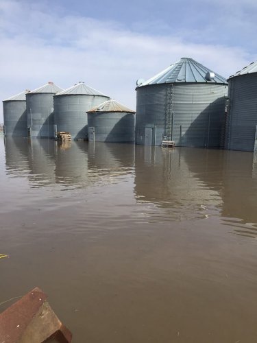 After historic flooding along the Missouri River in early 2019, many Missourians are still repairing damage.